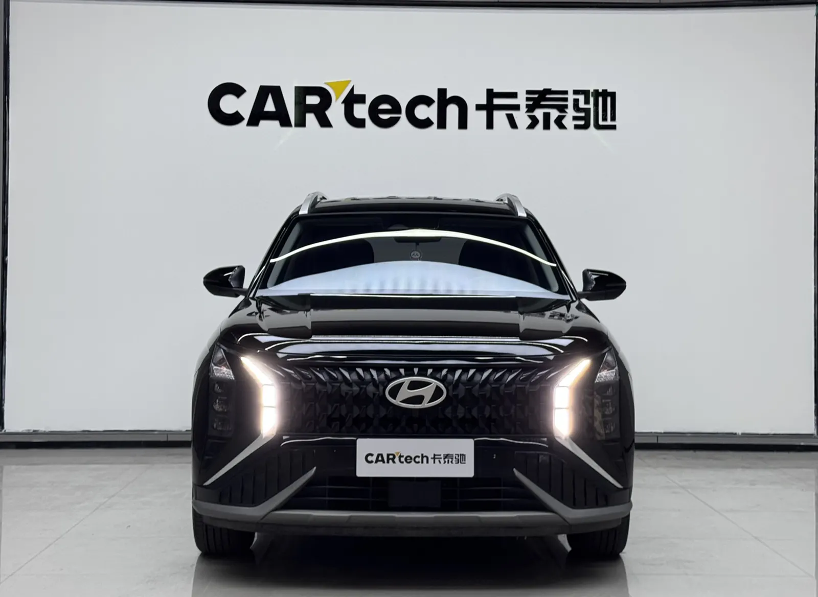 Hyundai Mufasa, 2023 2