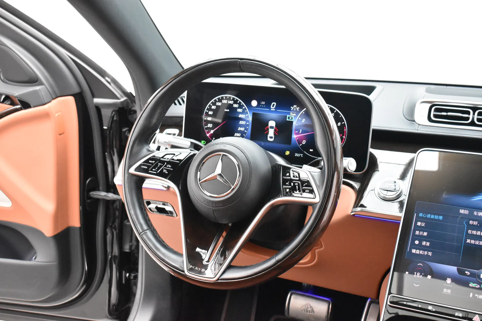Mercedes-Benz S 480 4MATIC, 2021 14