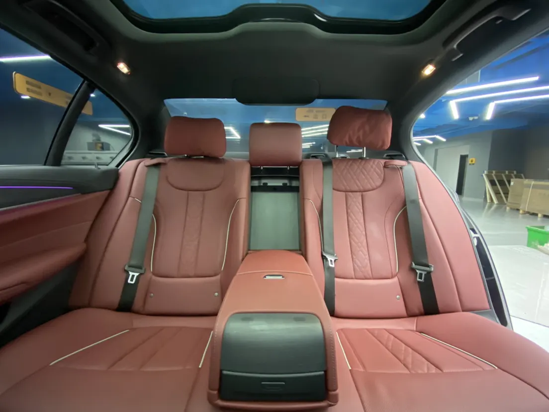 BMW 530Li, 2021 22