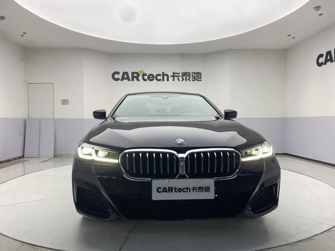 BMW 530Li, 2021 3