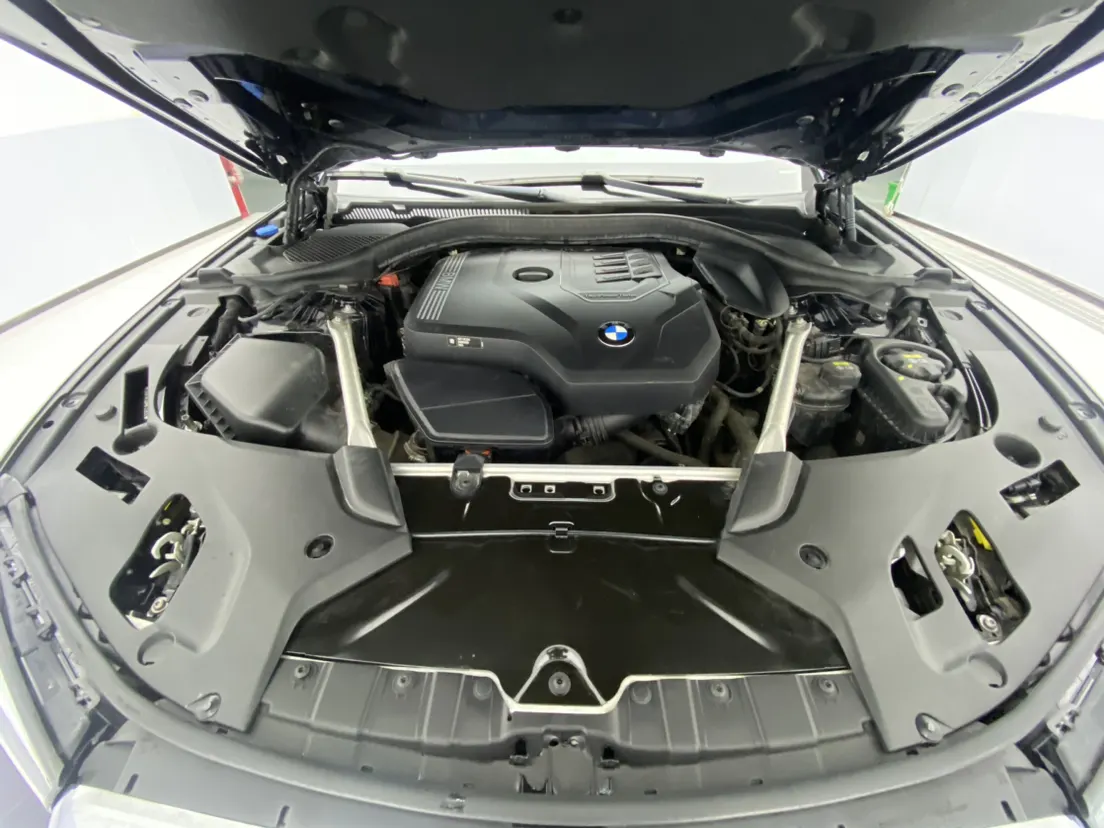BMW 530Li, 2021 12