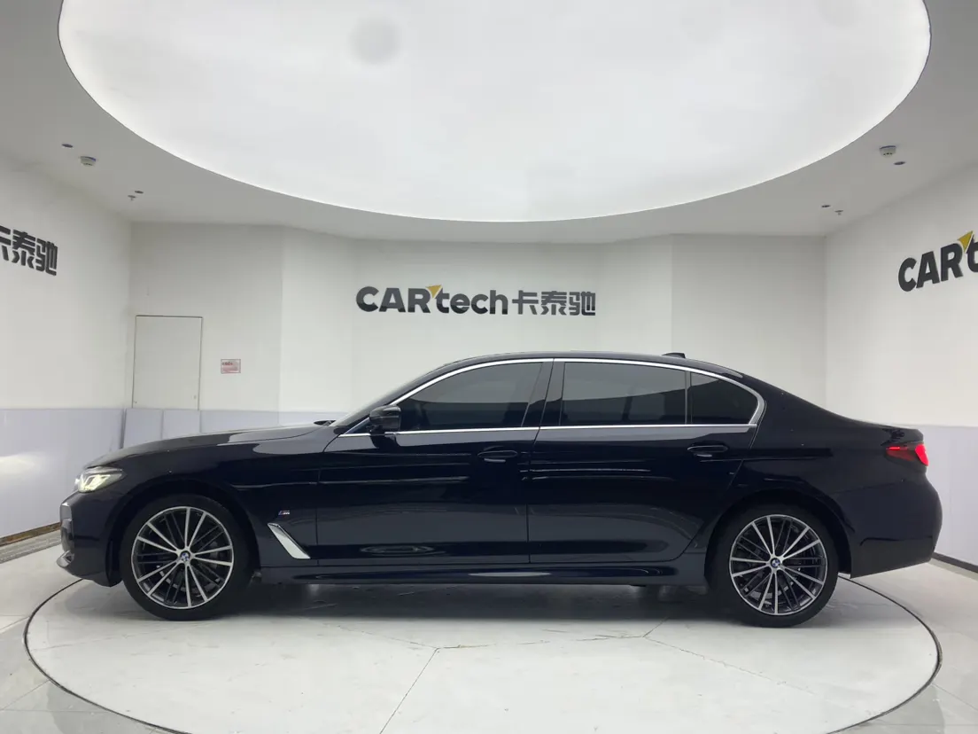 BMW 530Li, 2021 8