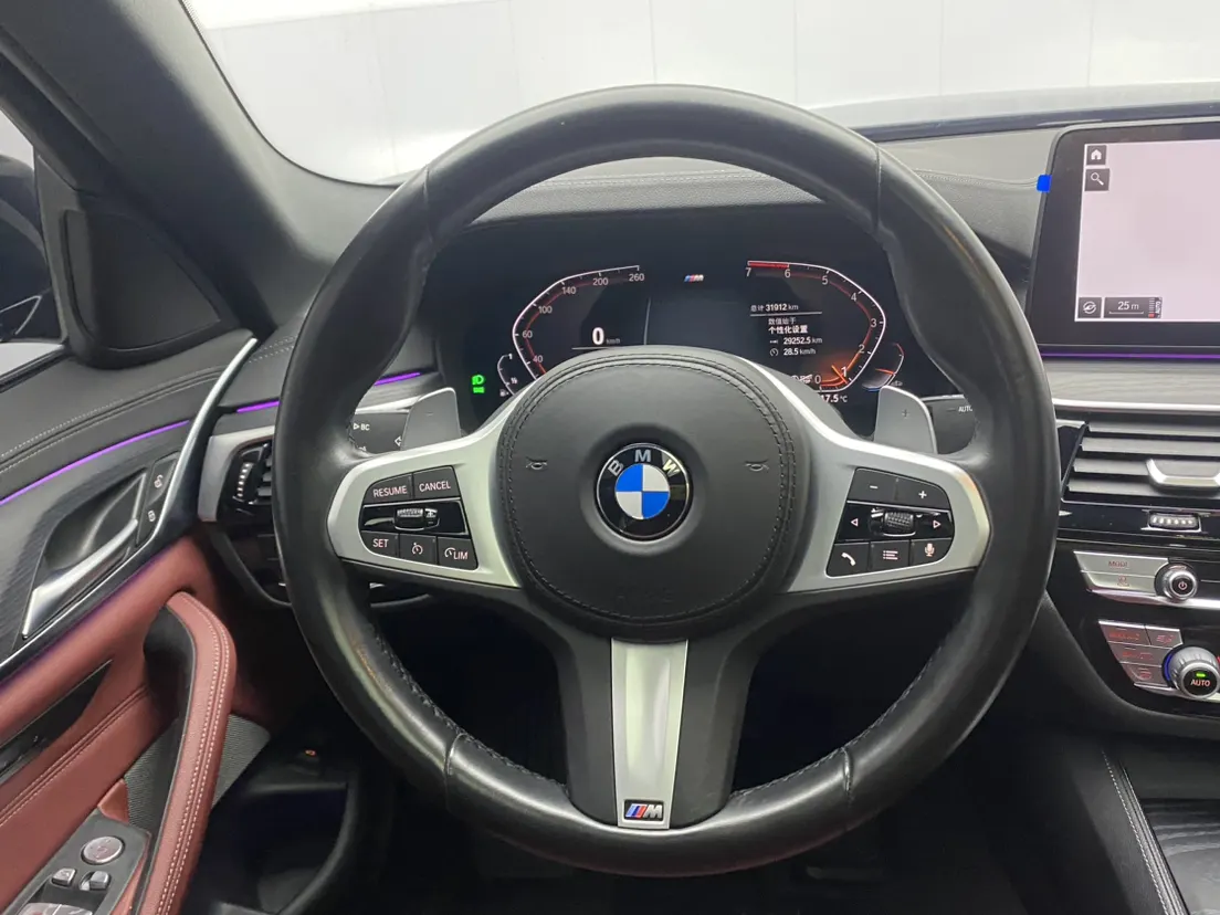 BMW 530Li, 2021 14