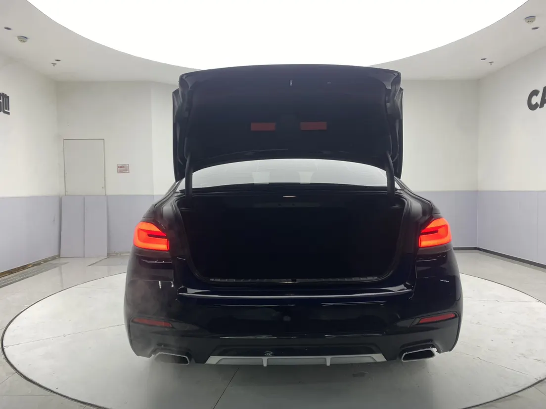 BMW 530Li, 2021 29