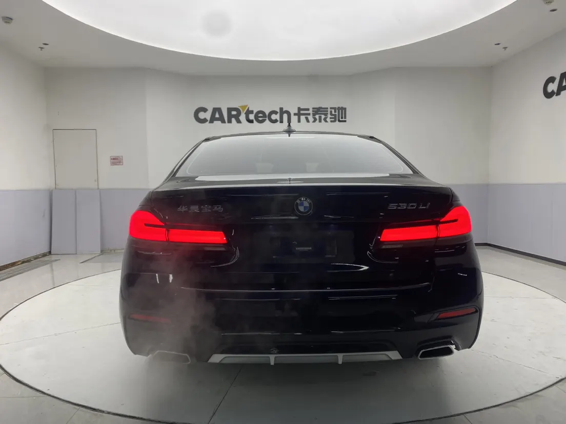 BMW 530Li, 2021 6