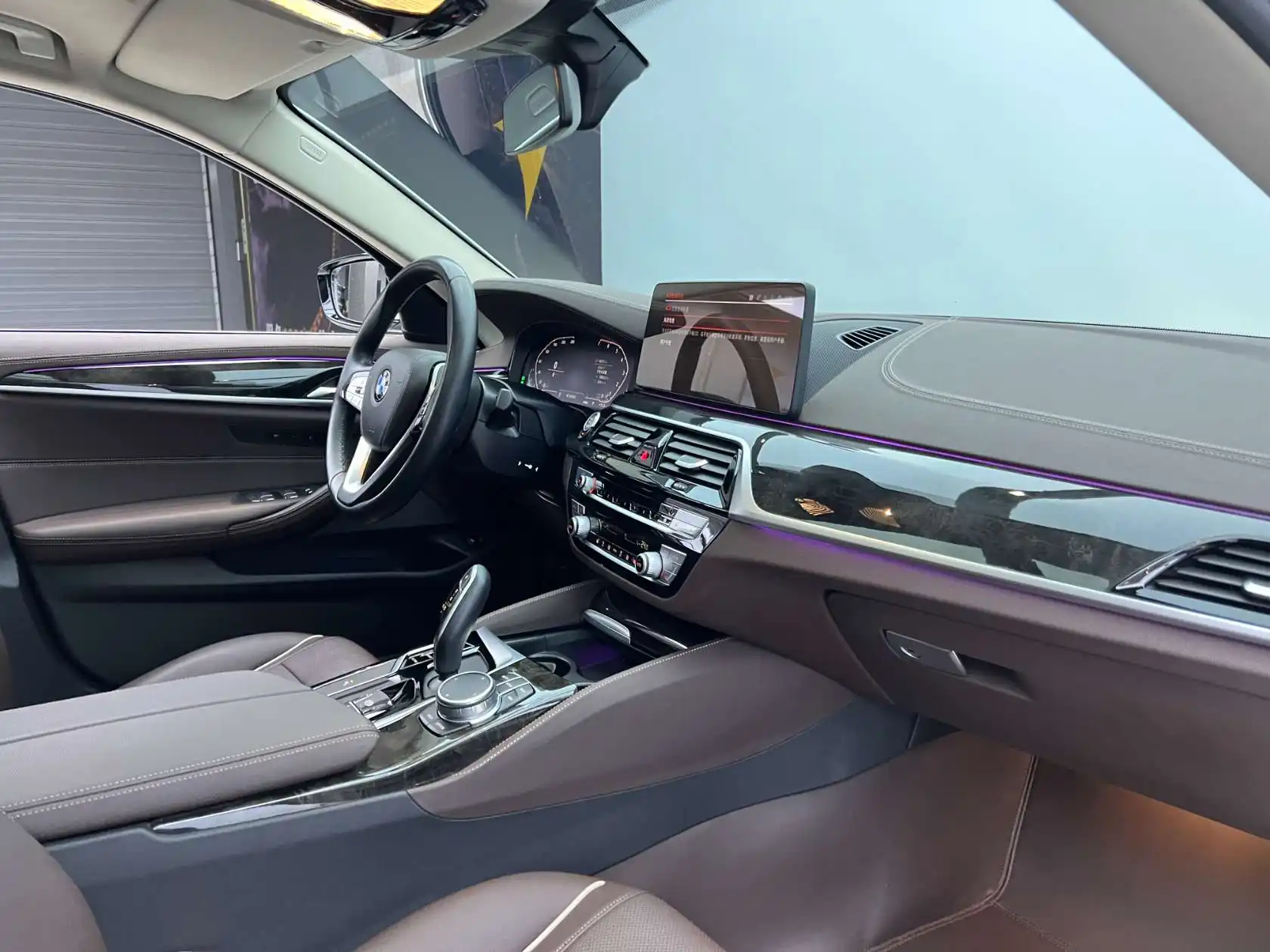 BMW 525Li, 2021 19