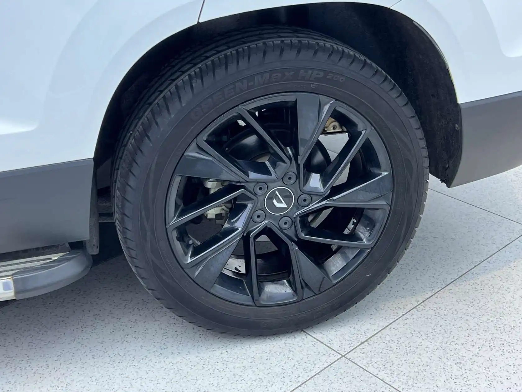 Jetta Panda, 2022 31