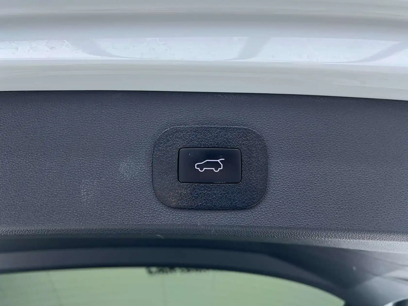 Jetta Panda, 2022 28