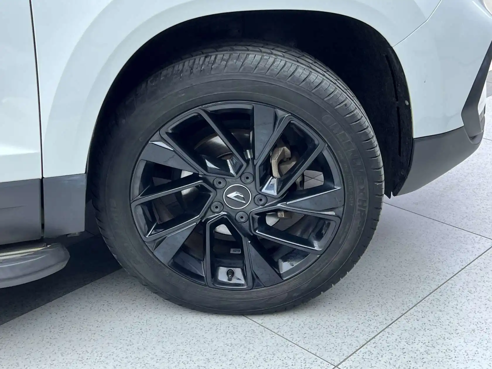 Jetta Panda, 2022 33