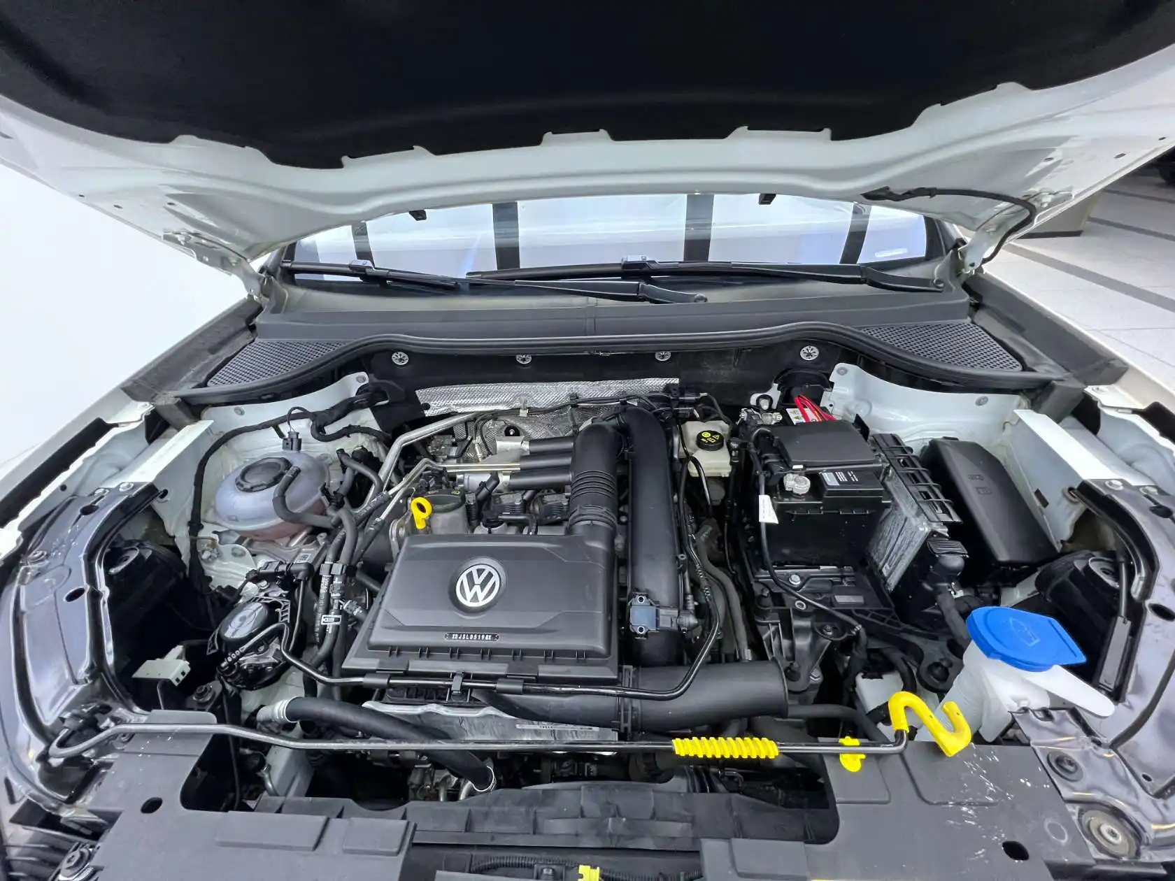 Jetta Panda, 2022 25