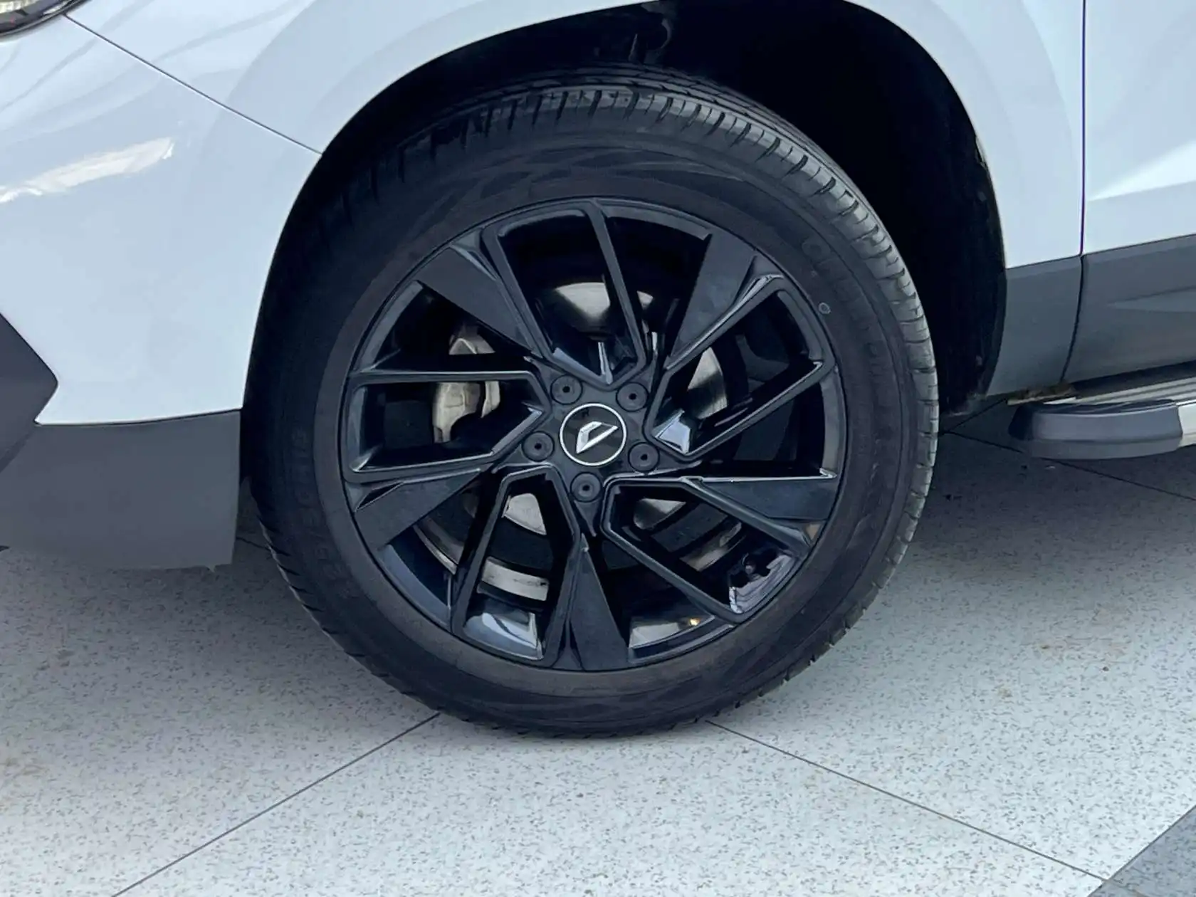 Jetta Panda, 2022 30