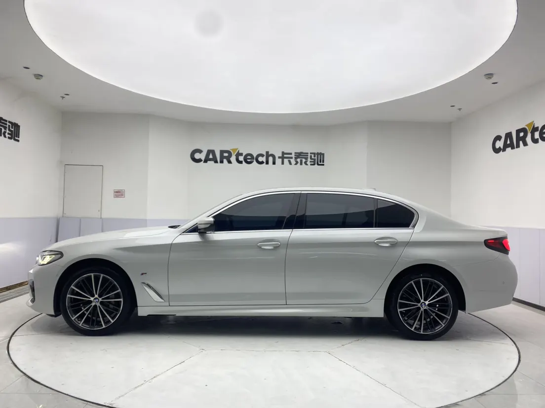 BMW 530Li, 2021 8