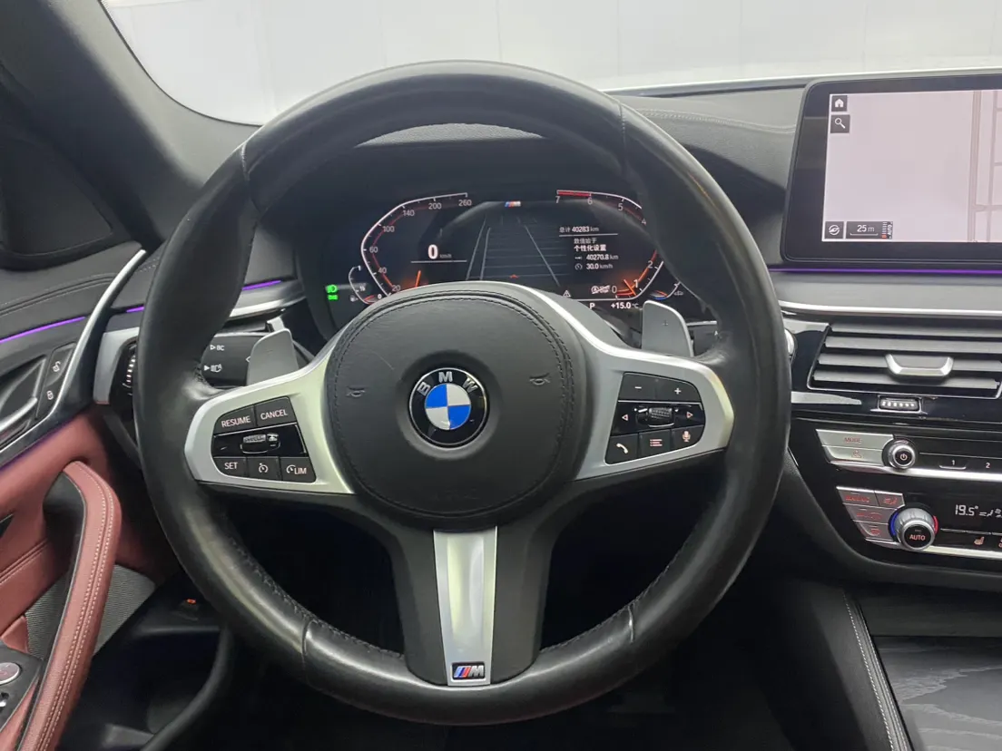 BMW 530Li, 2021 14