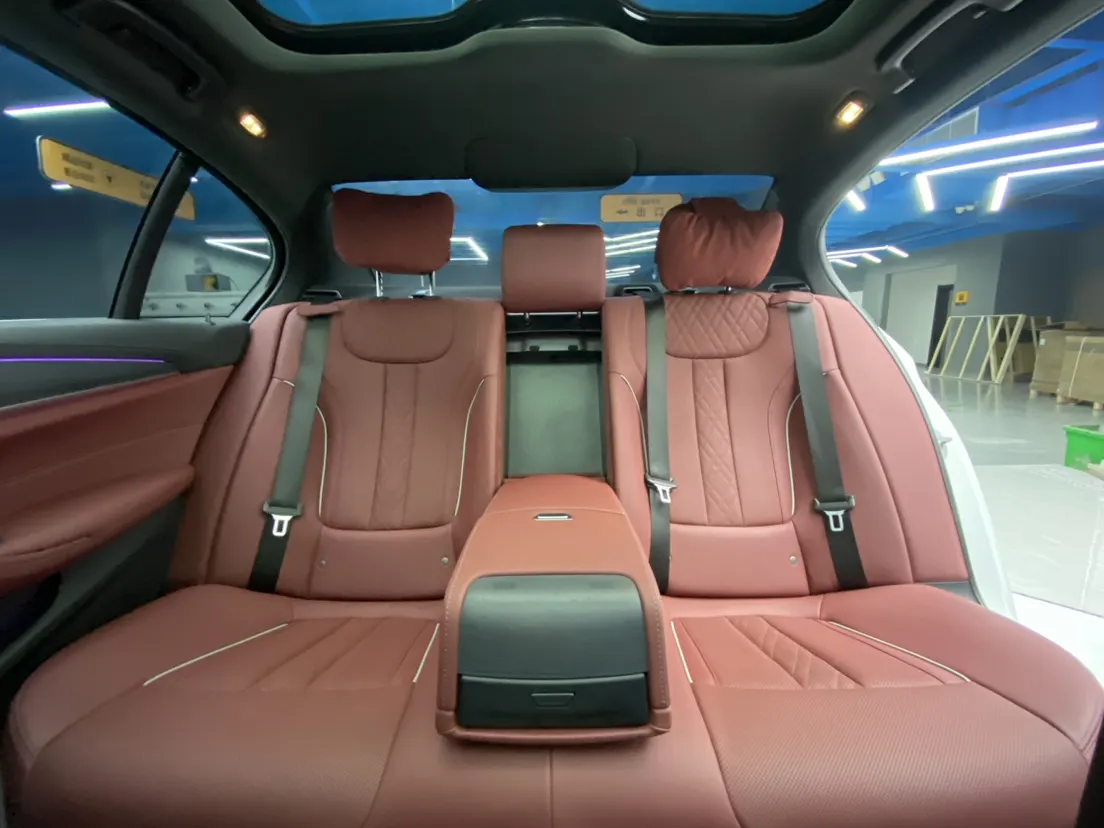 BMW 530Li, 2021 24