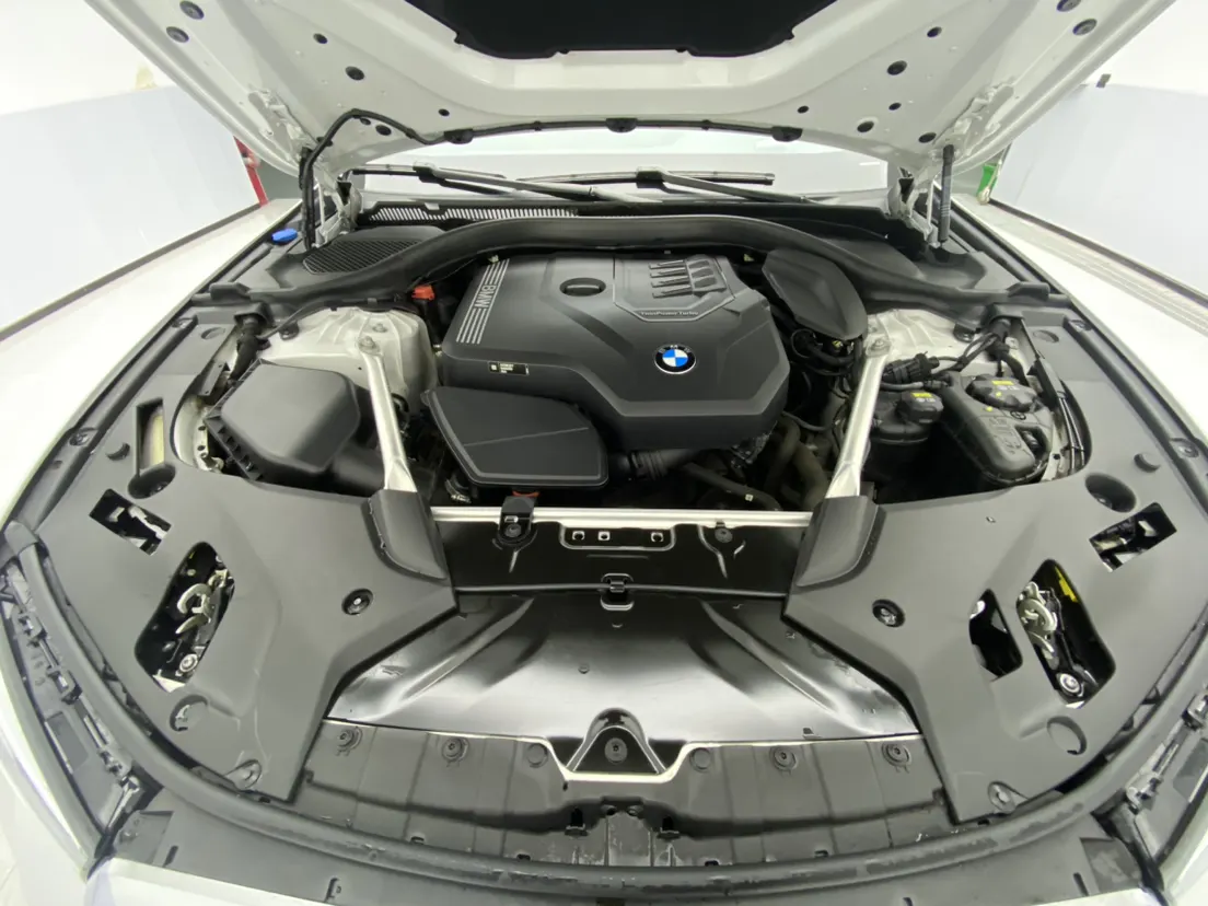 BMW 530Li, 2021 12