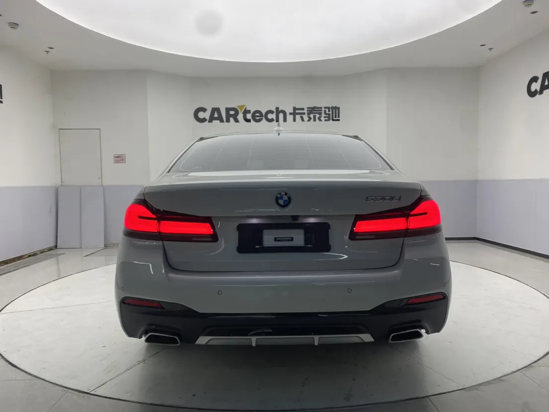 BMW 530Li, 2021 6