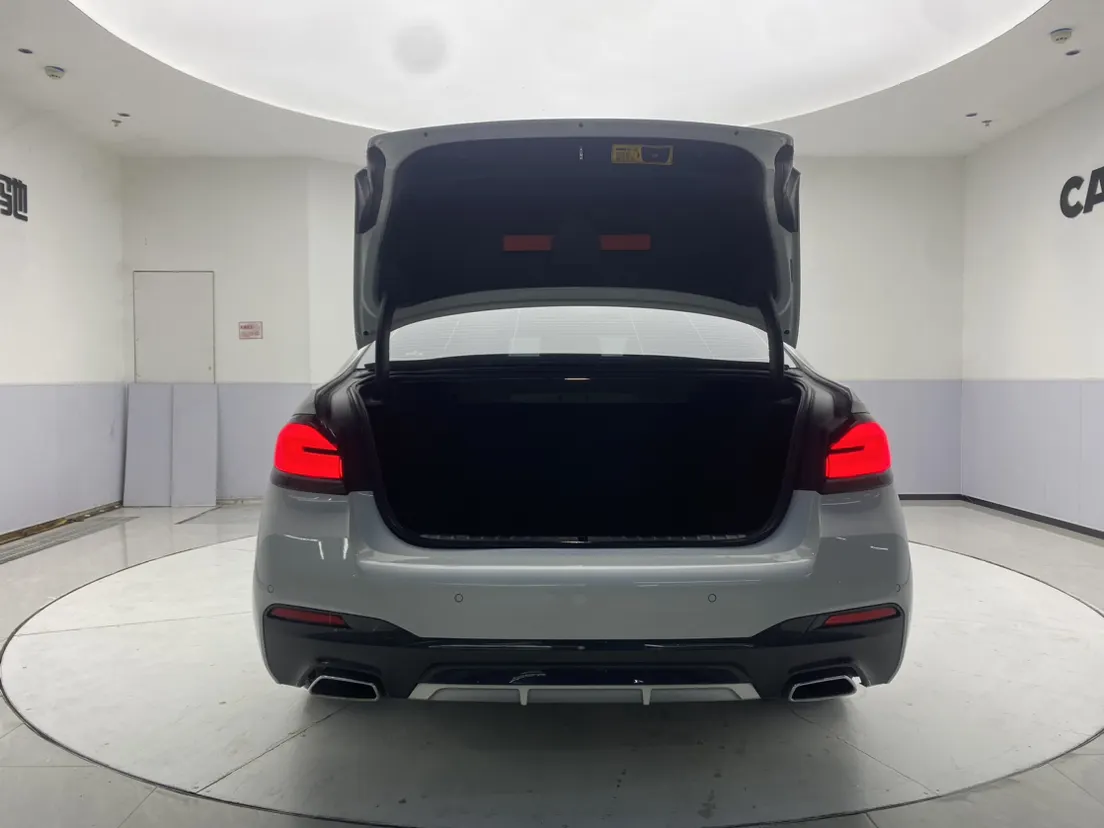 BMW 530Li, 2021 29
