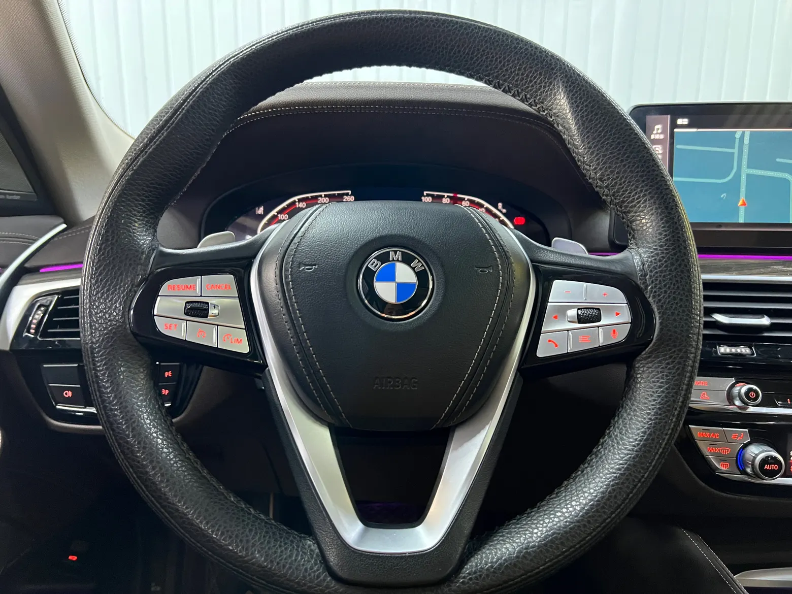 BMW 530Li, 2023 9