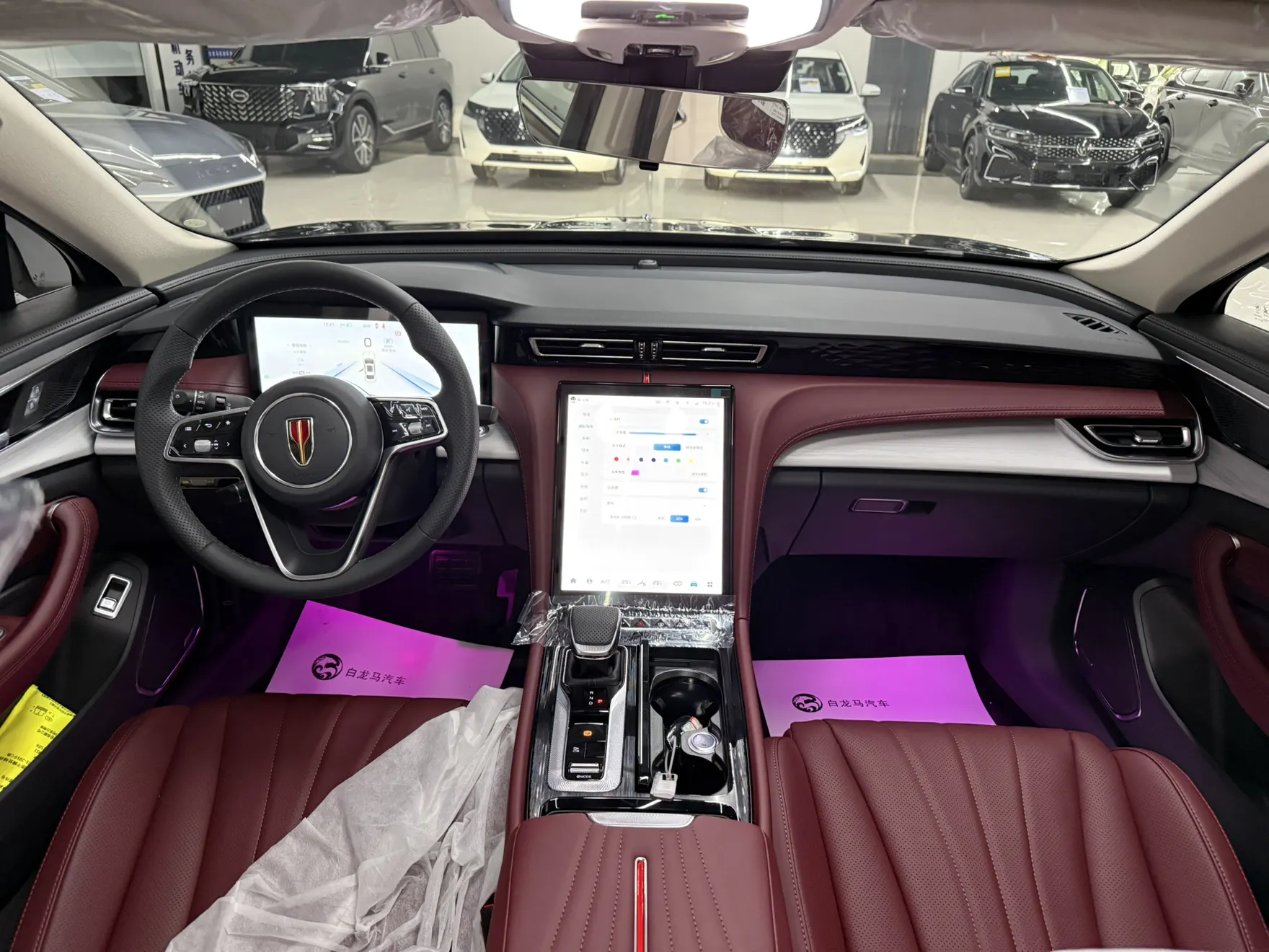 Hongqi H5, 2025 15