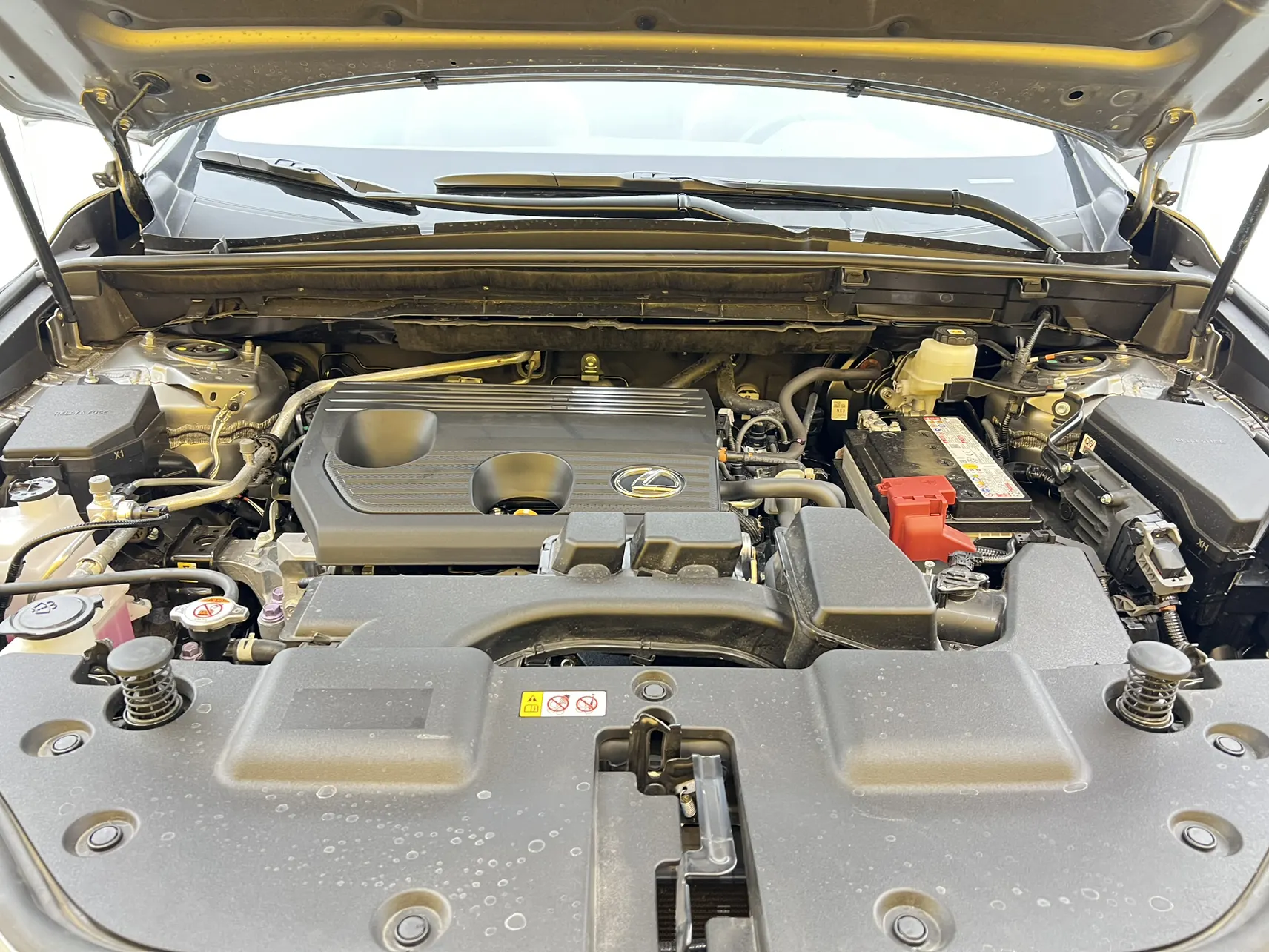Lexus NX 200, 2025 11