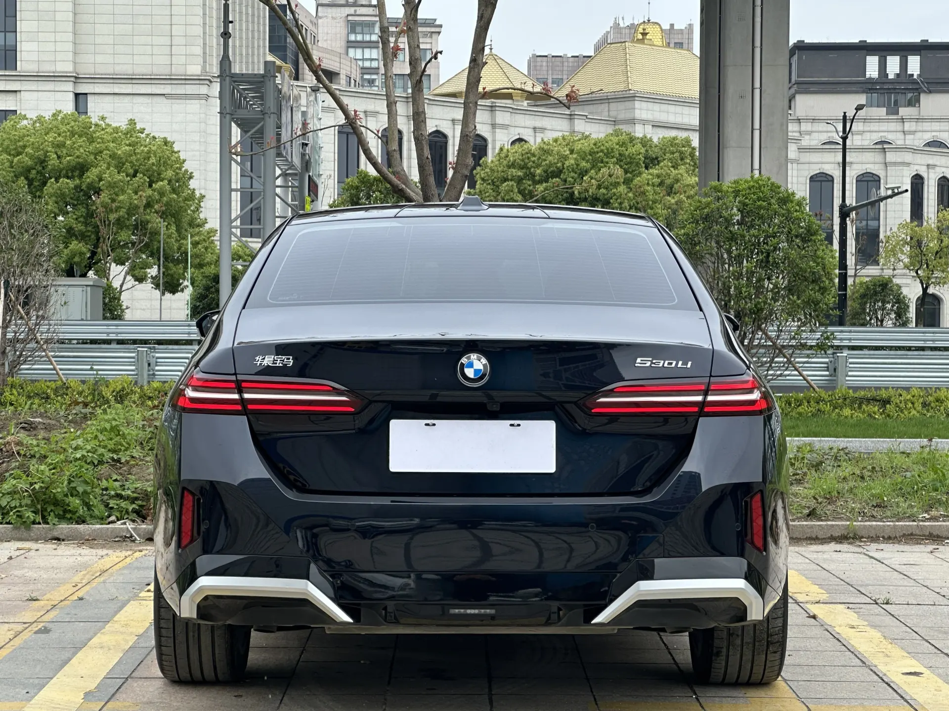 BMW 530Li, 2024 10