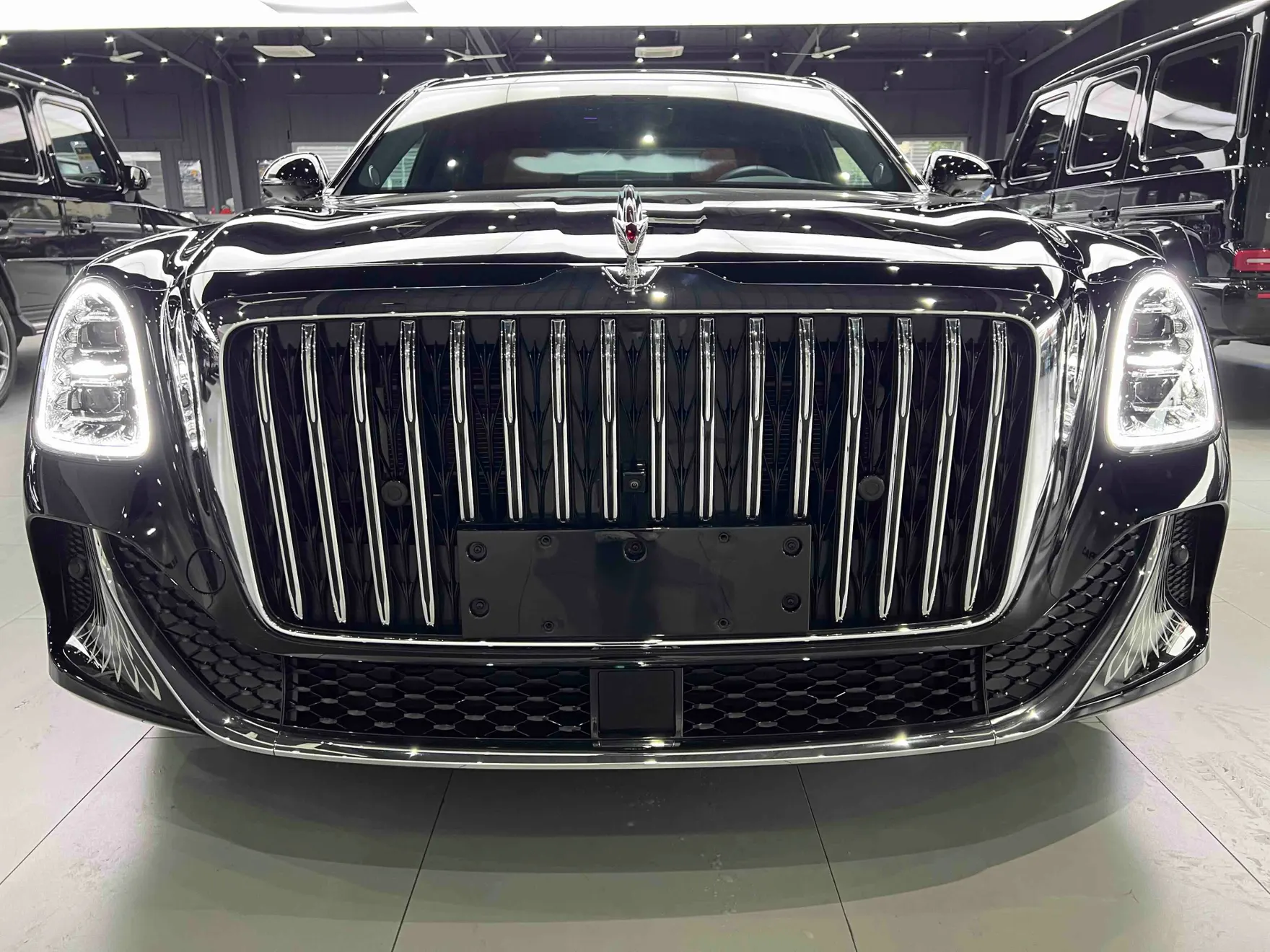 Hongqi Guoya, 2025 14
