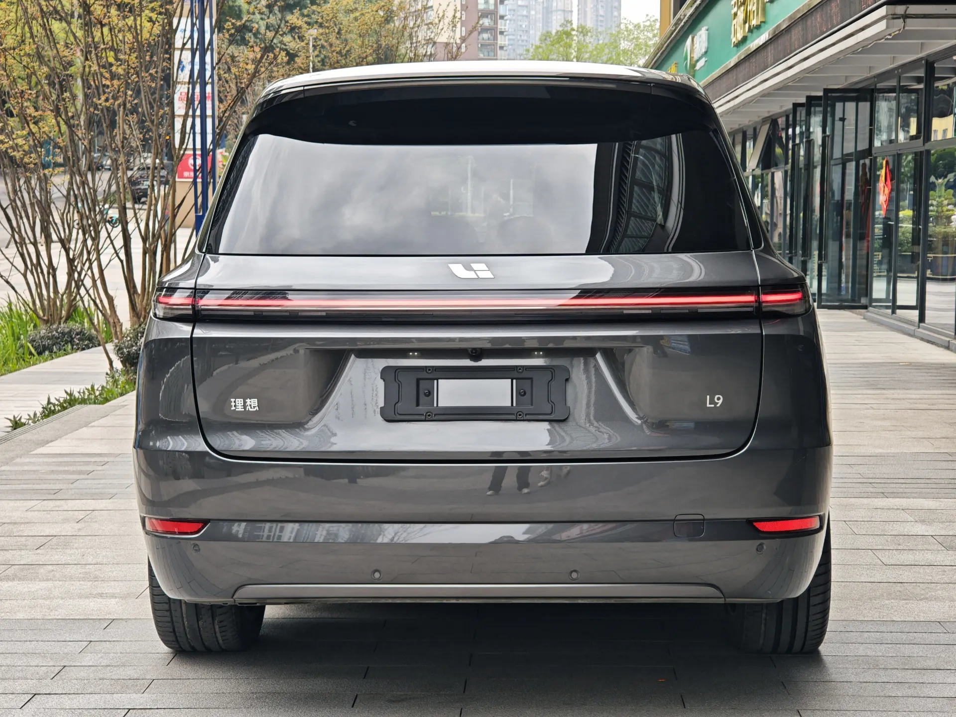 Li Auto L9, 2024 6