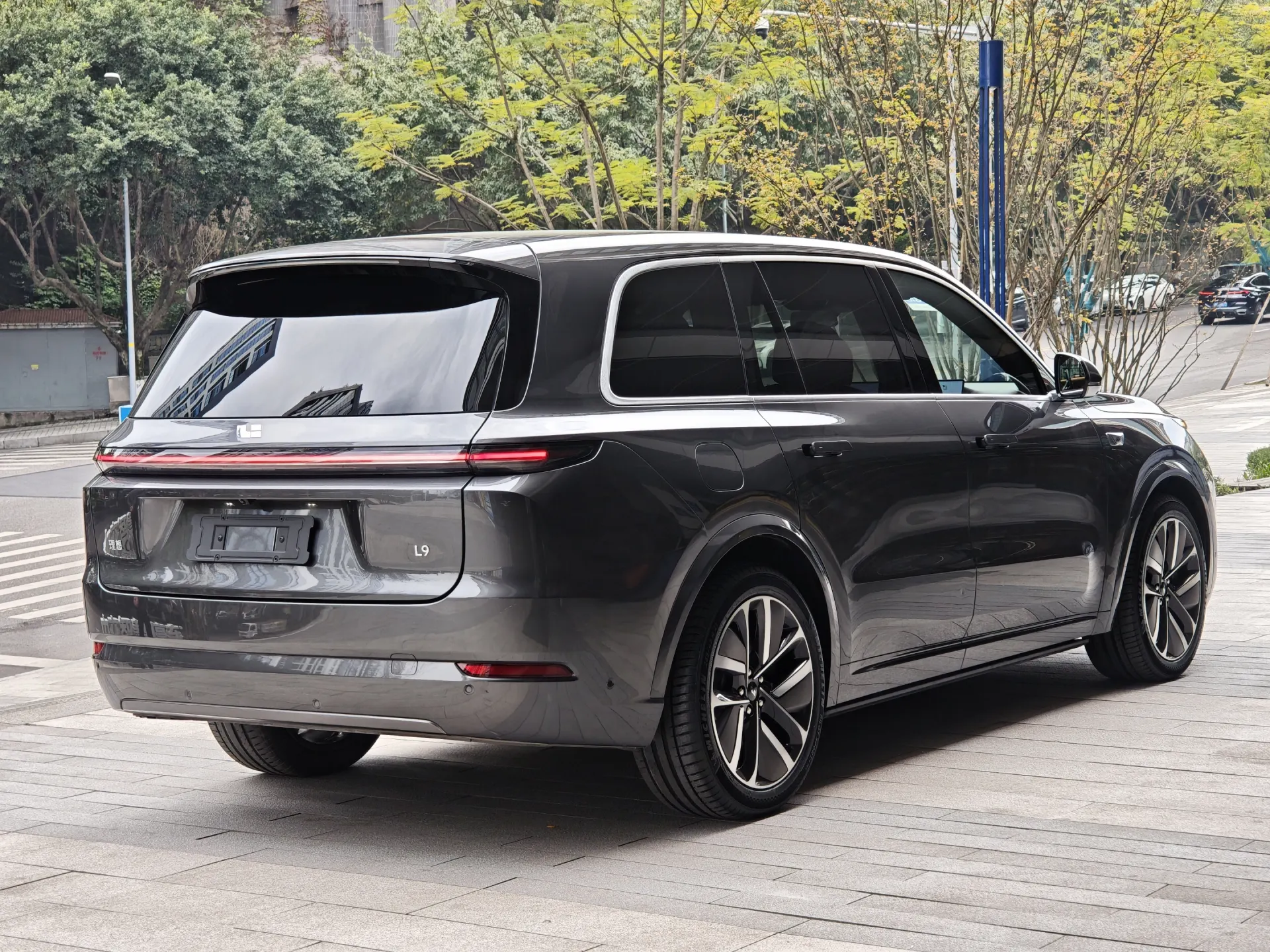 Li Auto L9, 2024 все фото