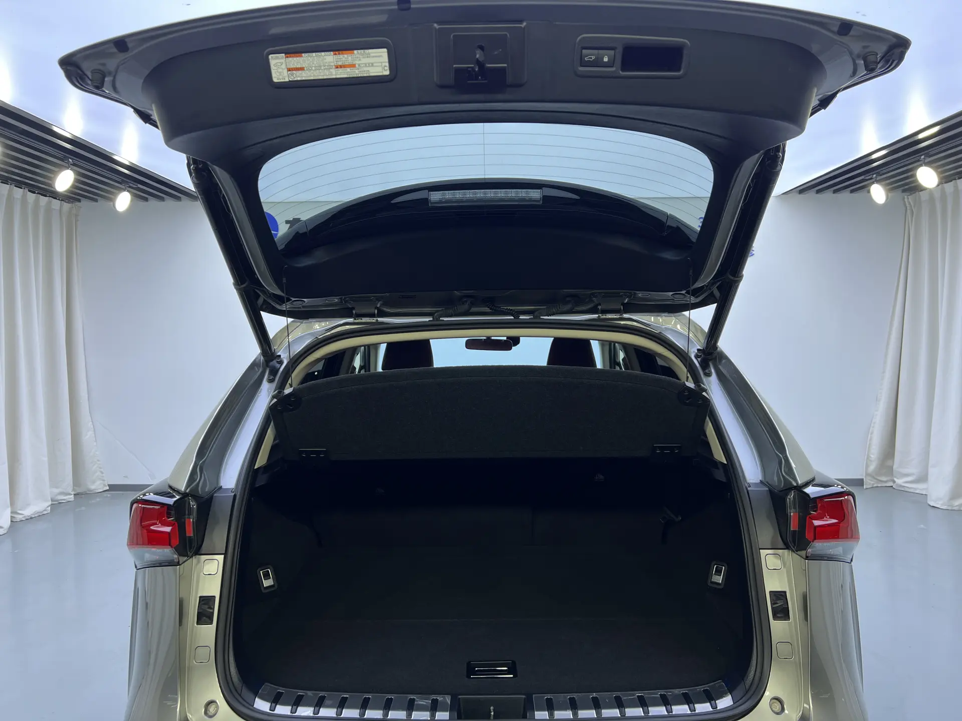 Lexus NX 300
