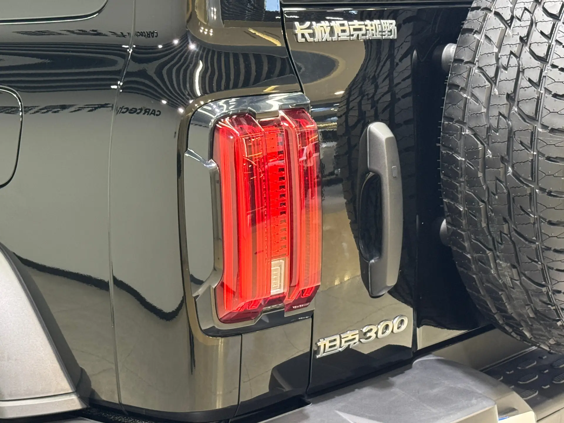 Tank 300, 2024 4
