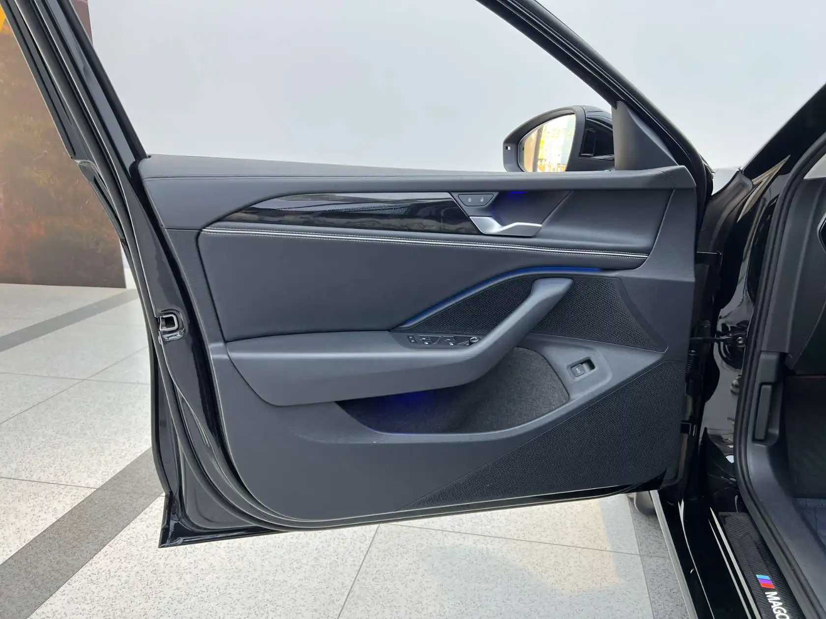 Volkswagen Magotan, 2024 11