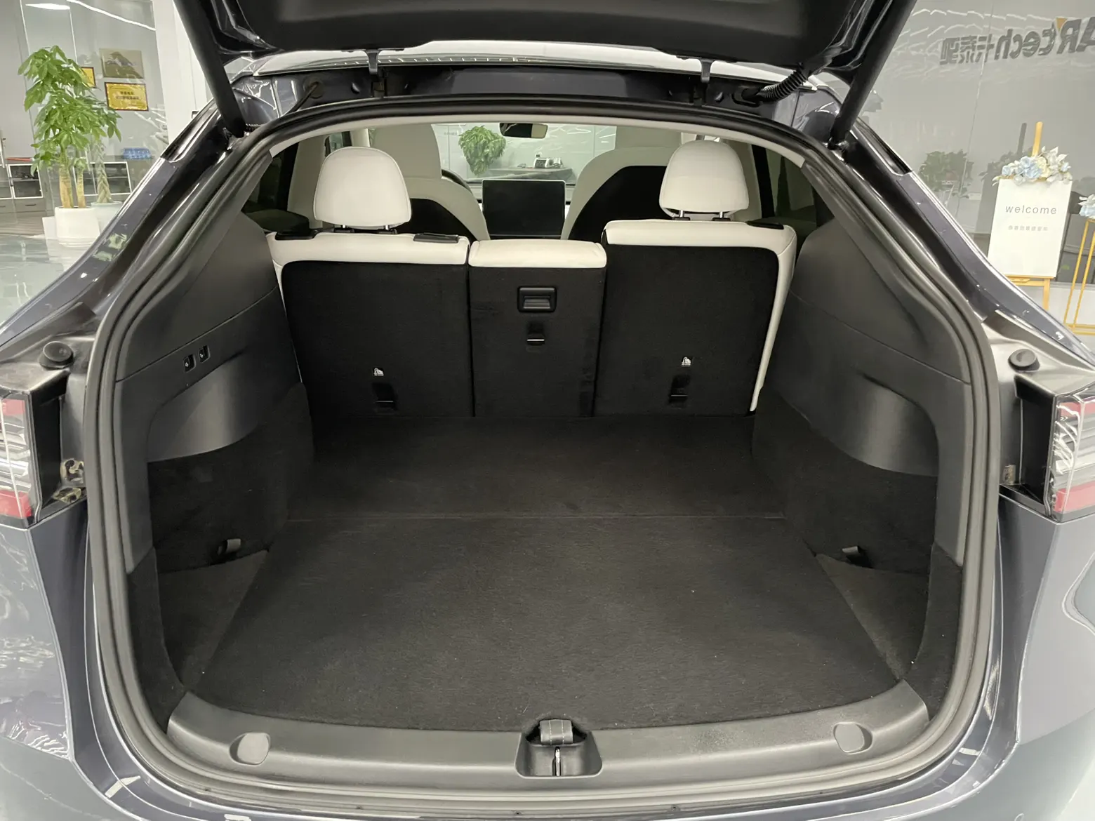 Tesla Model Y, 2023 9