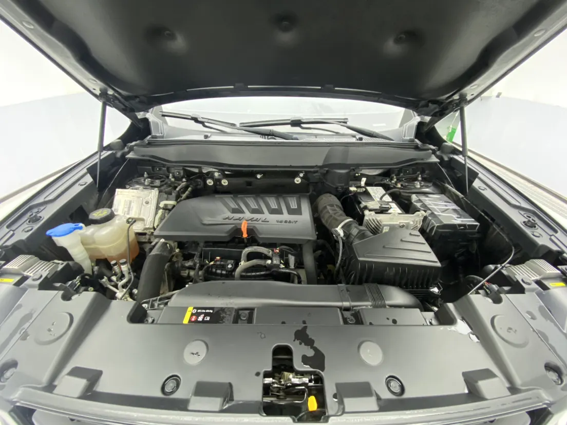 Haval Big Dog, 2021 12