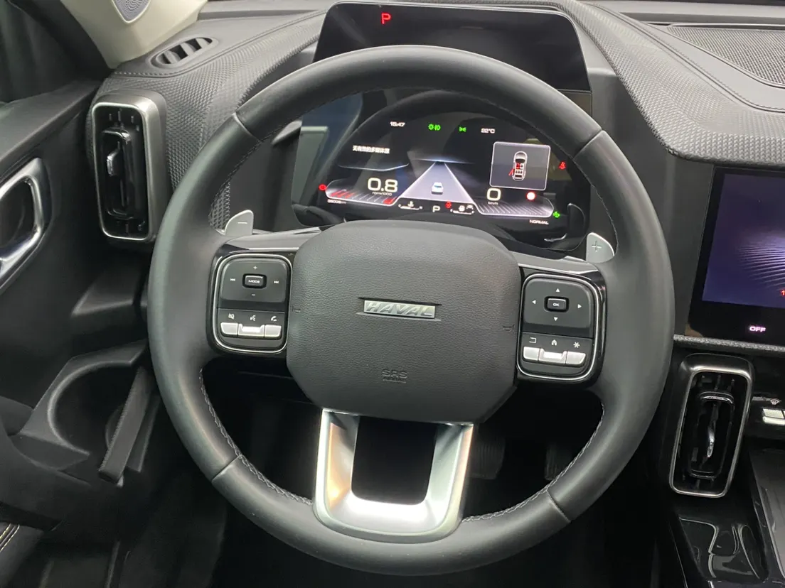 Haval Big Dog, 2021 14