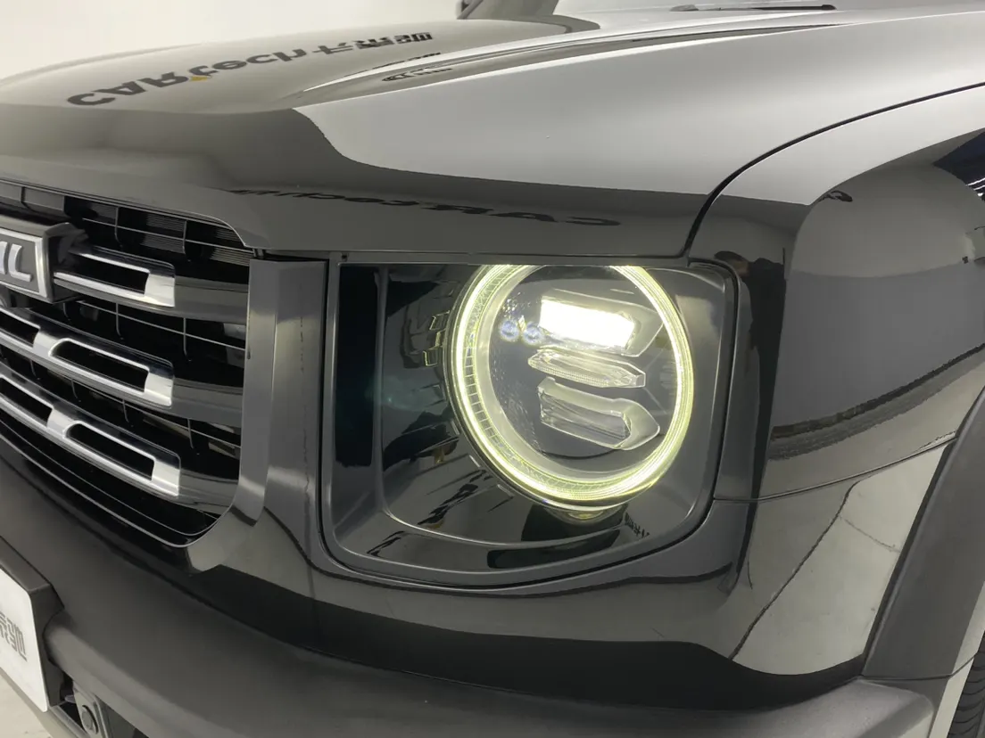 Haval Big Dog, 2021 9