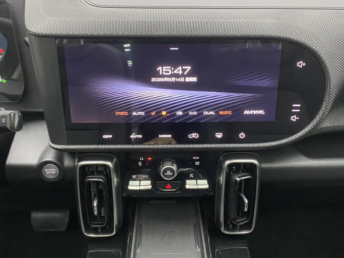 Haval Big Dog, 2021 21