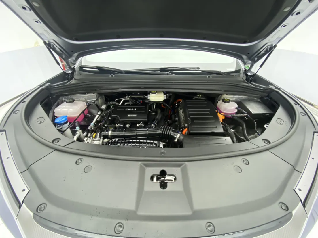 BYD Song, 2026 12