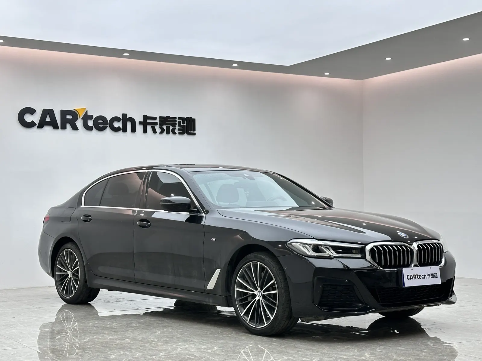 BMW 530Li, 2023 6