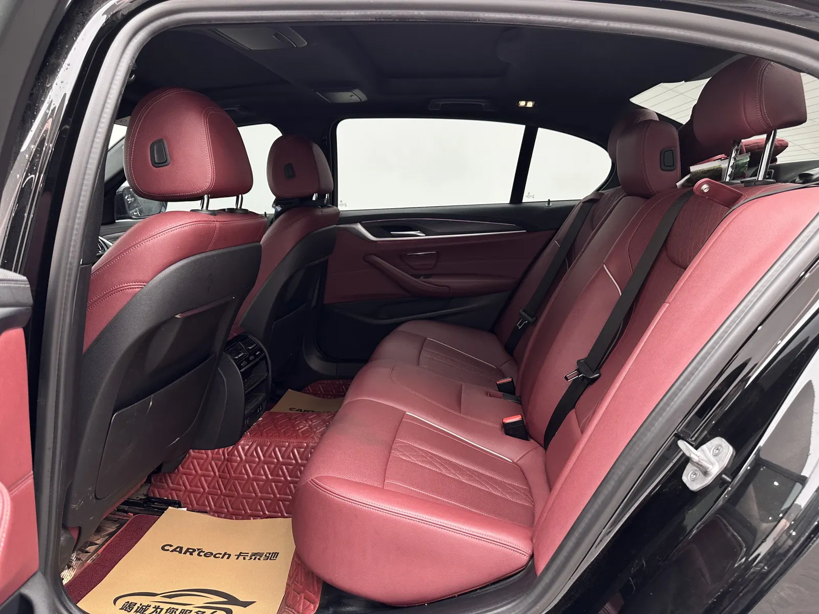 BMW 530Li, 2023 9