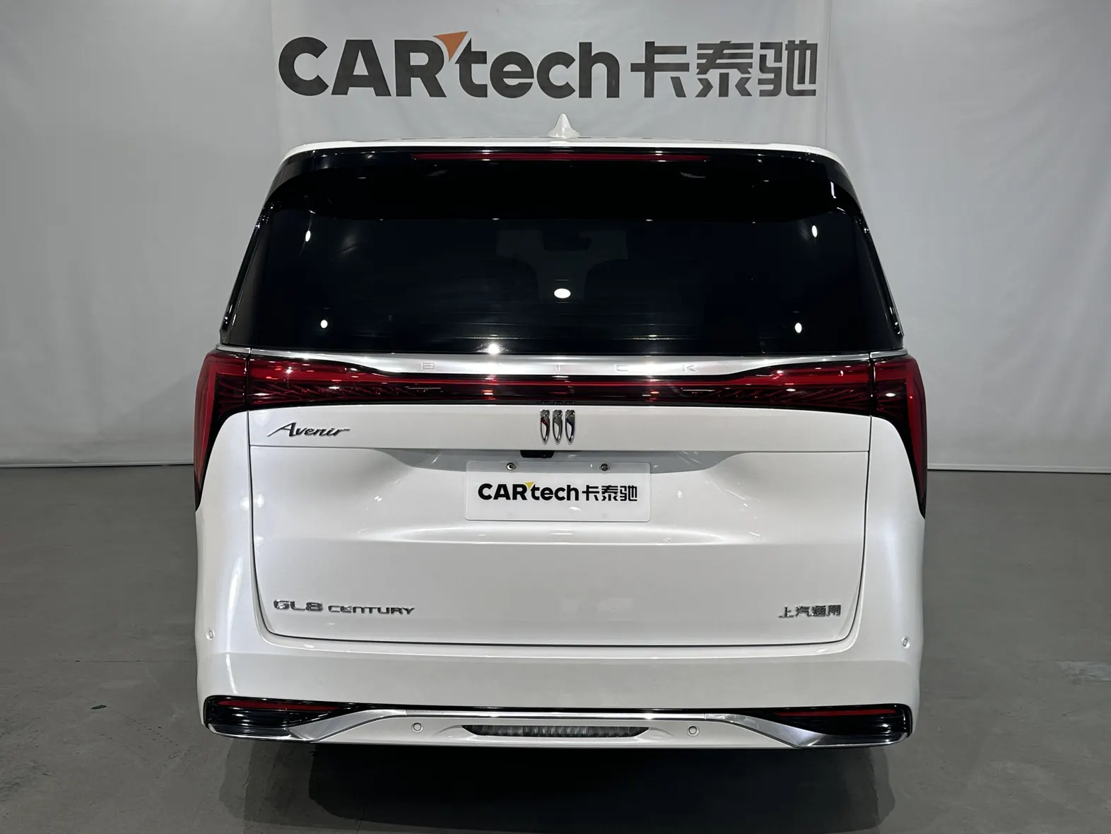 Buick Century, 2024 все фото