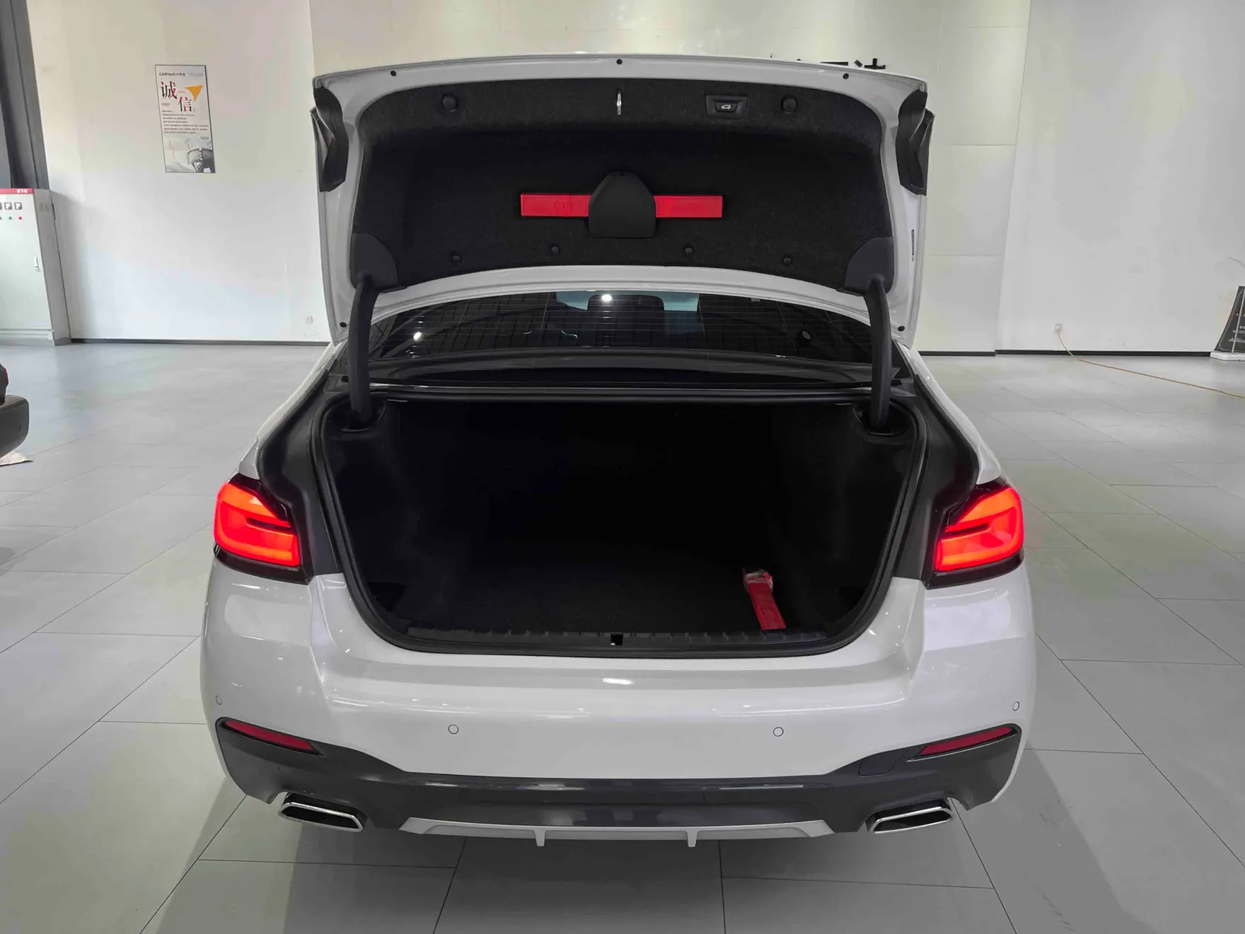 BMW 525Li, 2022 13