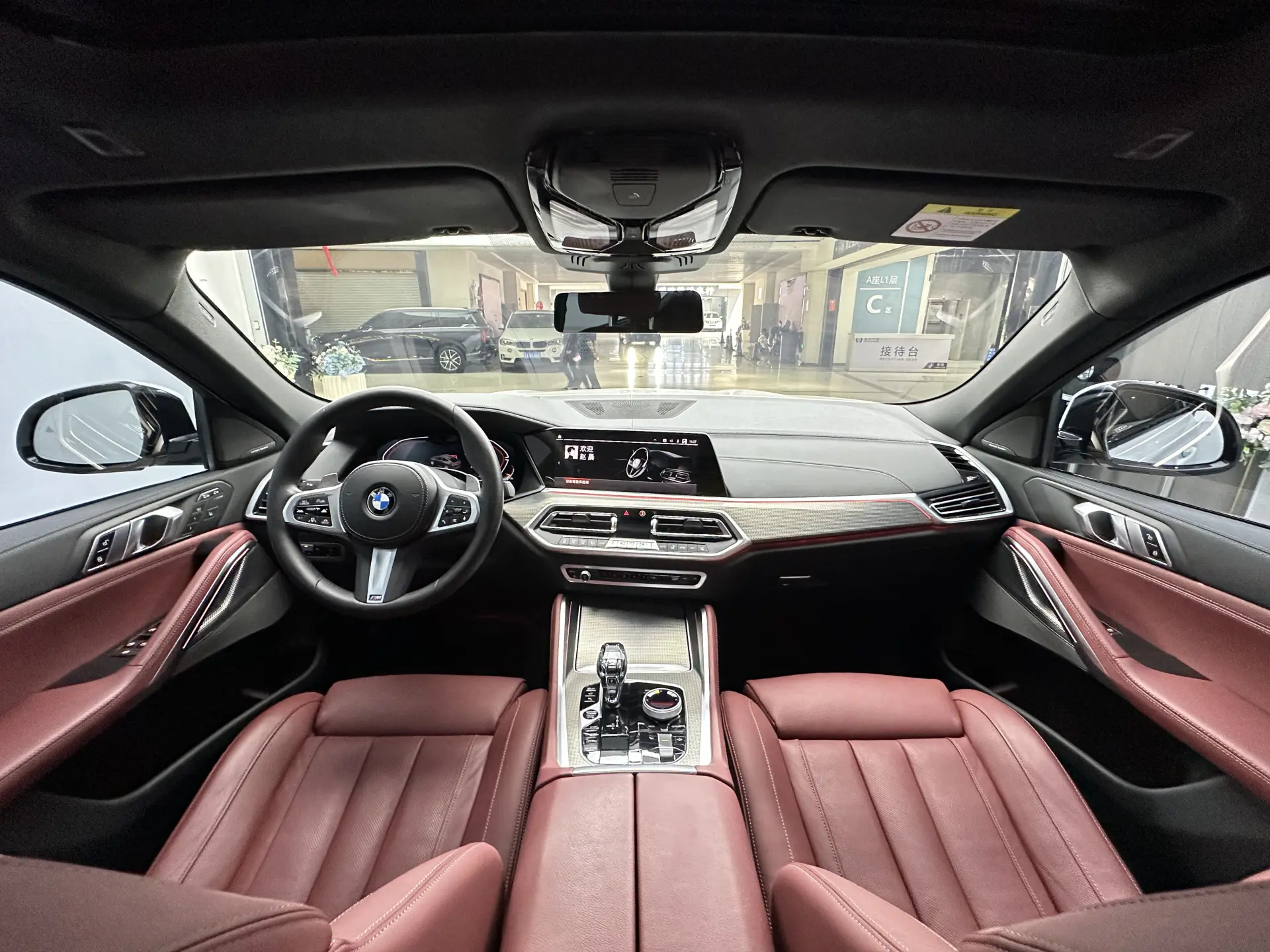 BMW X6, 2023 17