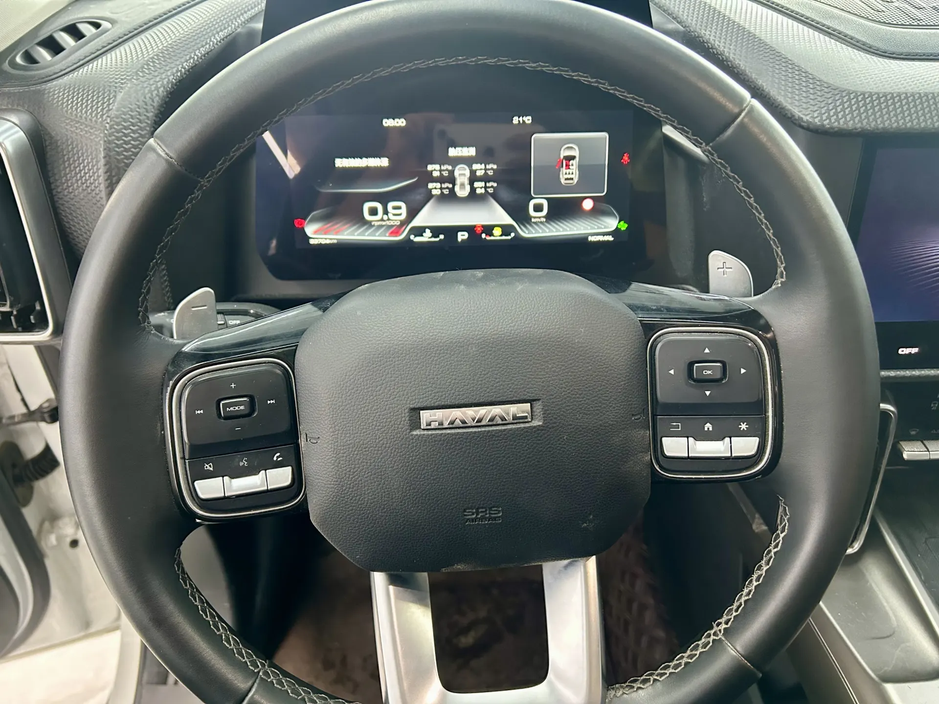 Haval Big Dog, 2024 8