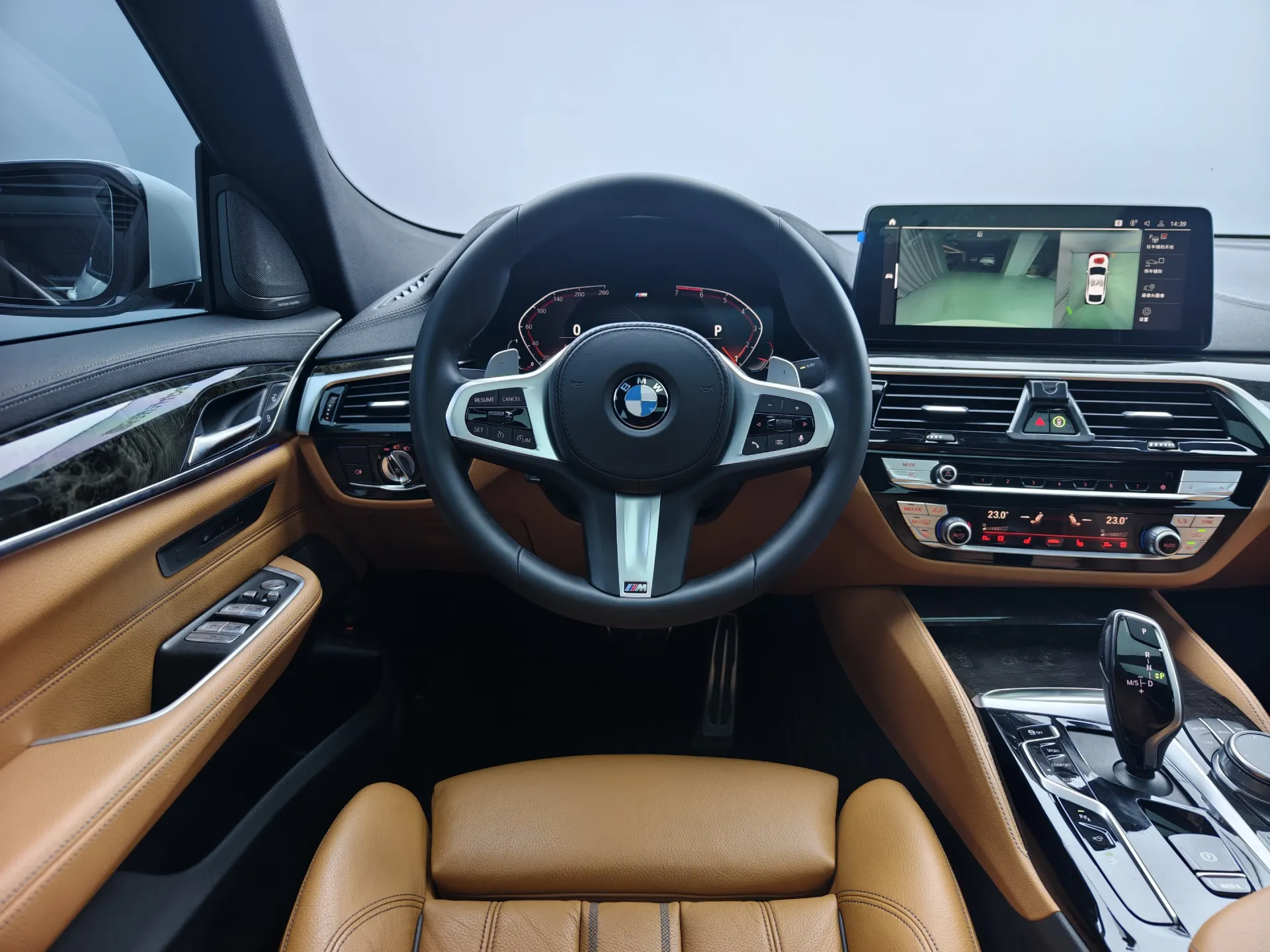 BMW 6GT, 2021 8