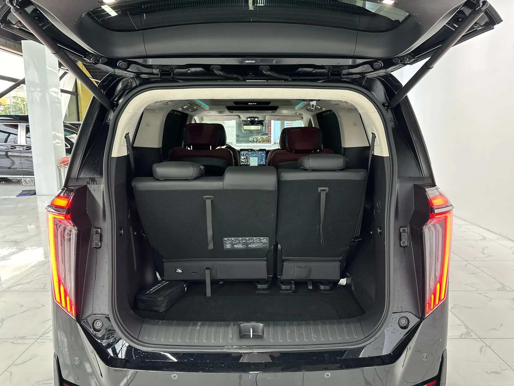 Trumpchi E9, 2024 13
