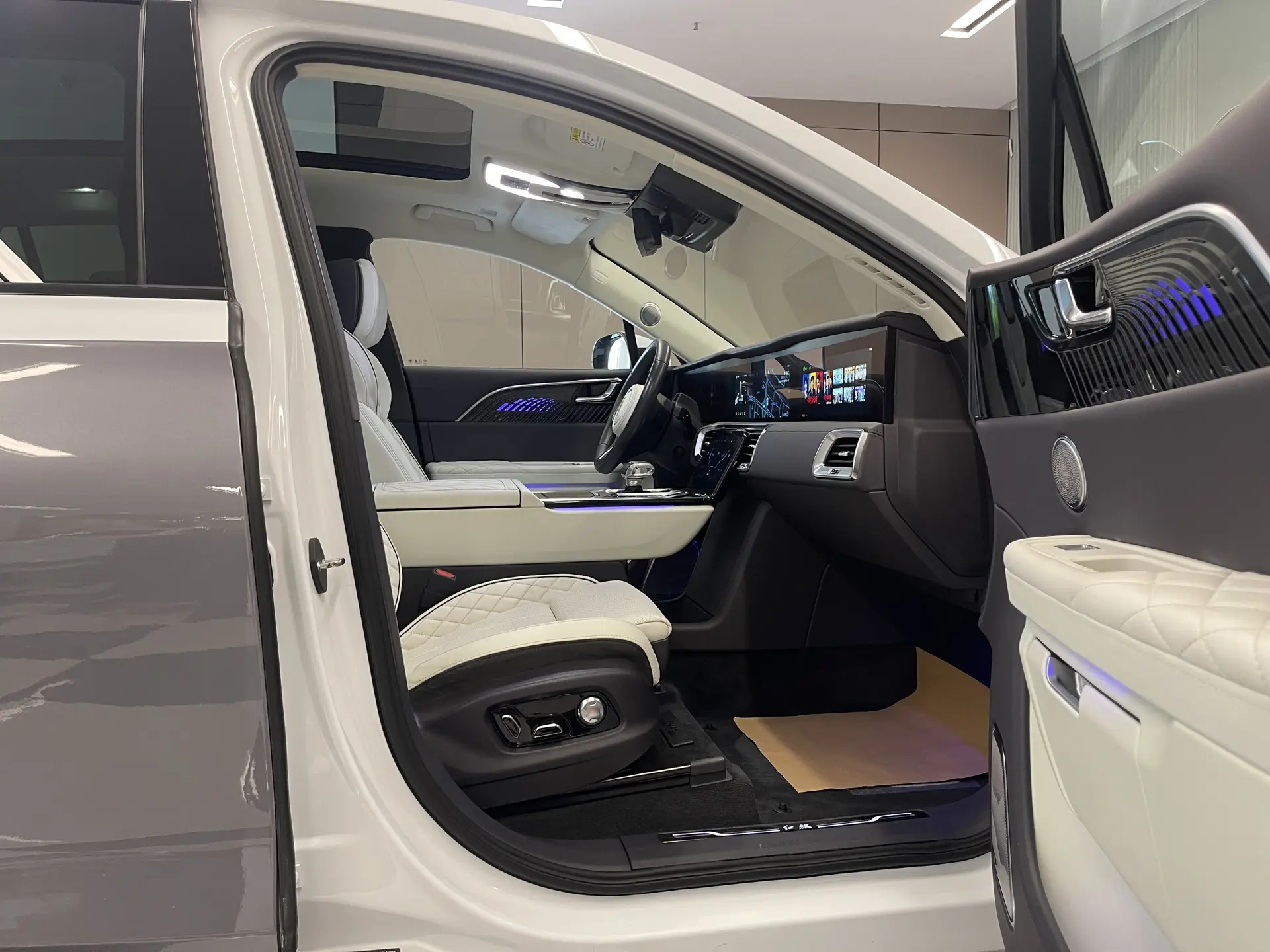 Hongqi E-HS9, 2022 20