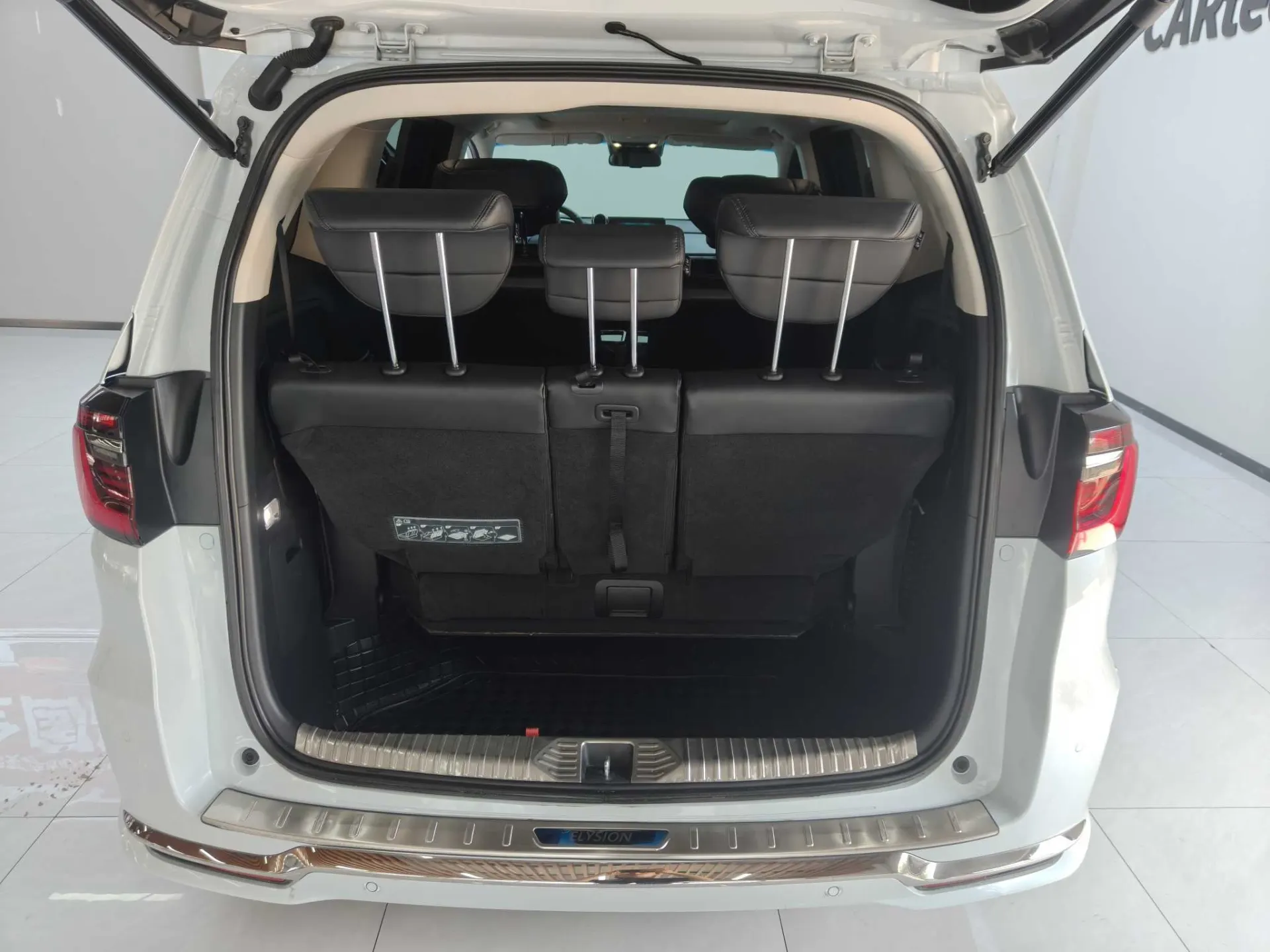Honda Elysion, 2024 11