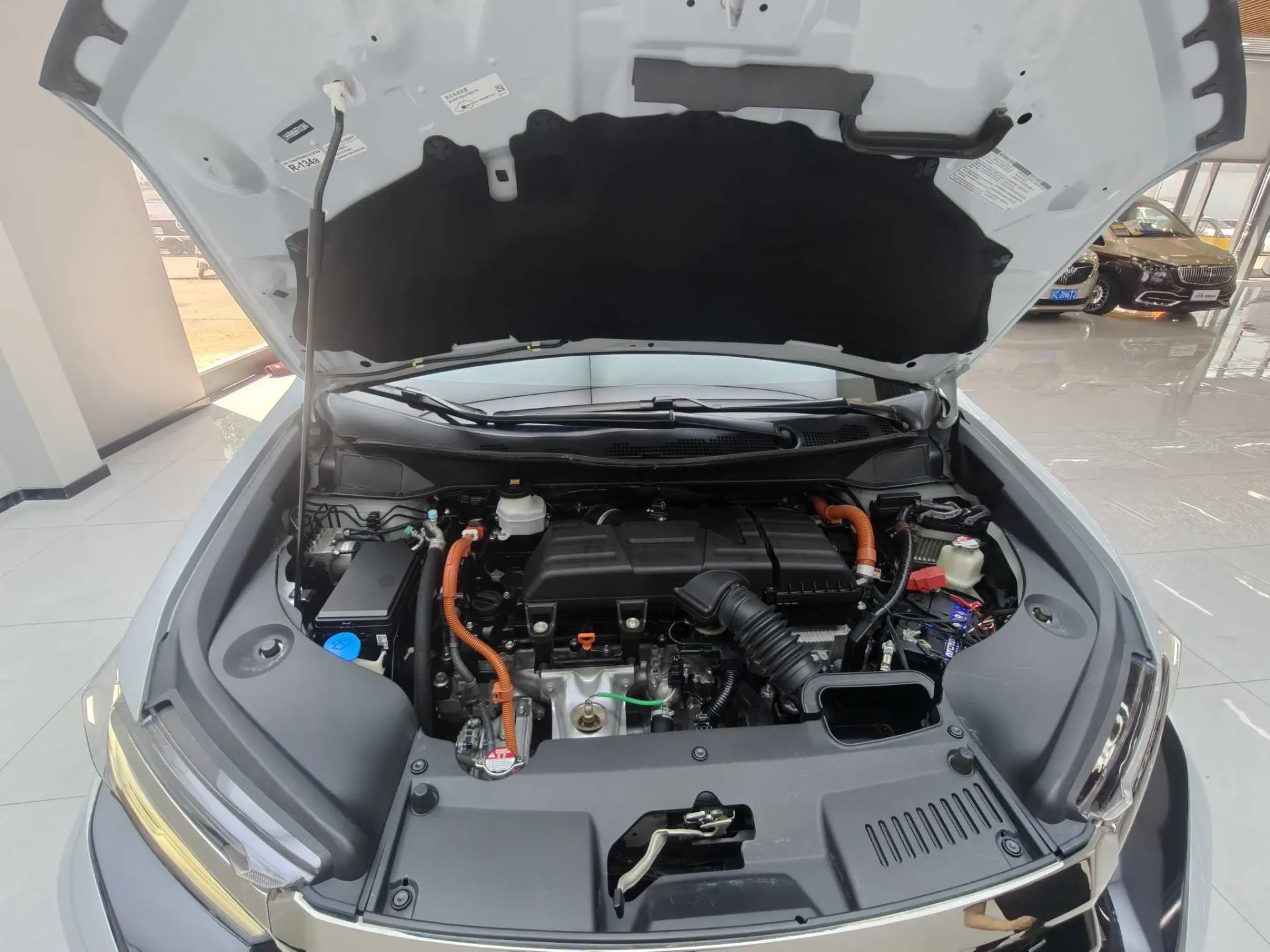 Honda Elysion, 2024 10