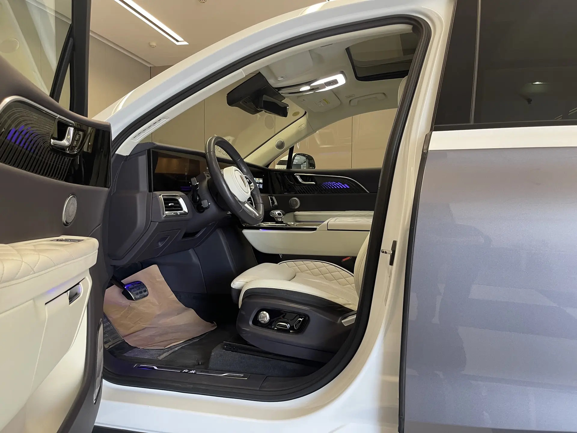 Hongqi E-HS9, 2022 18