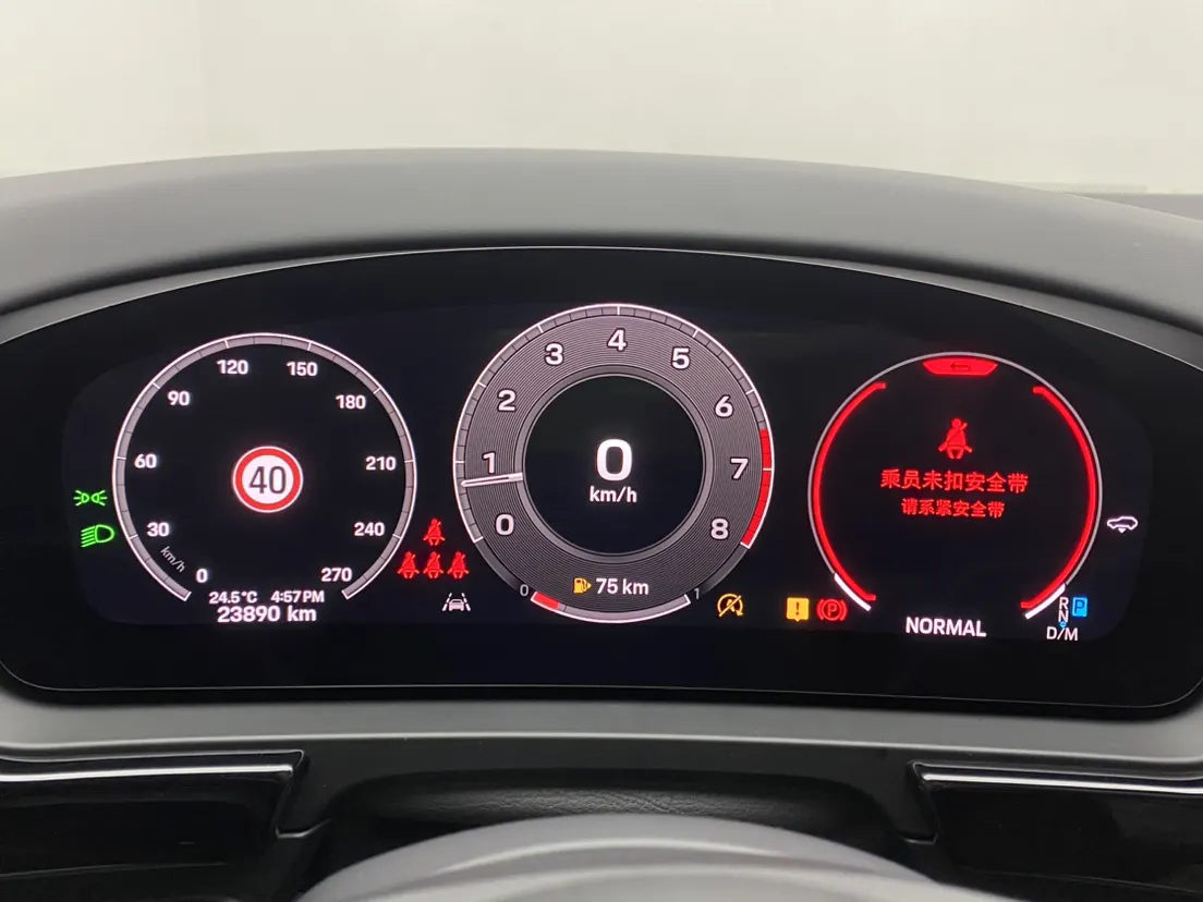 Porsche Cayenne, 2025 15